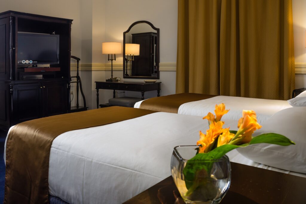Double or Twin Room (Executive Floor)
