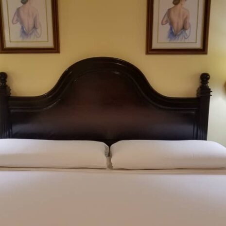 Single_Standard_Room_ (1) Single_Standard_Room_ (1)